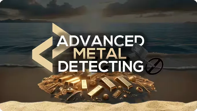 Metal Detecting — cover image